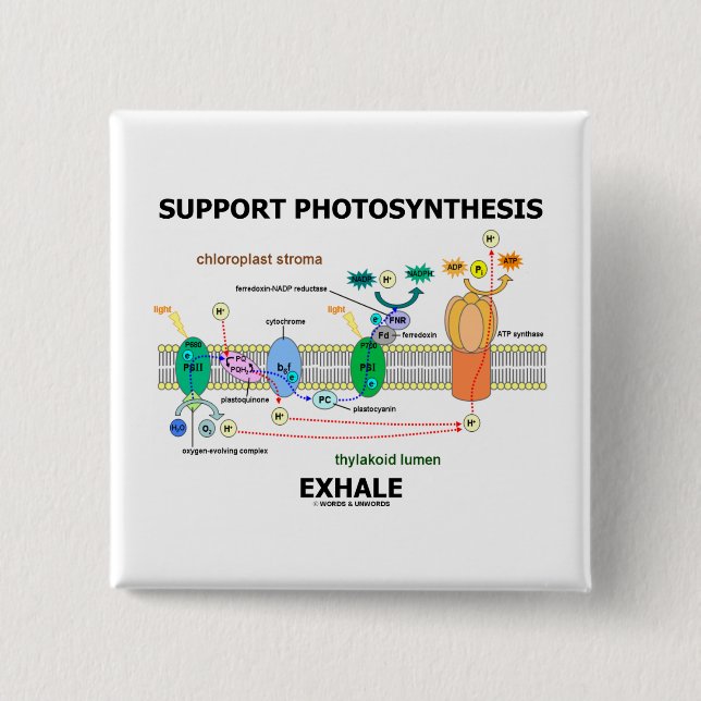 Support Photosynthesis Exhale (Biochemistry Humor) Pinback Button (Front)