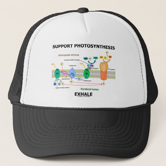 Support Photosynthesis Exhale (Biochemistry Humor) Trucker Hat (Front)