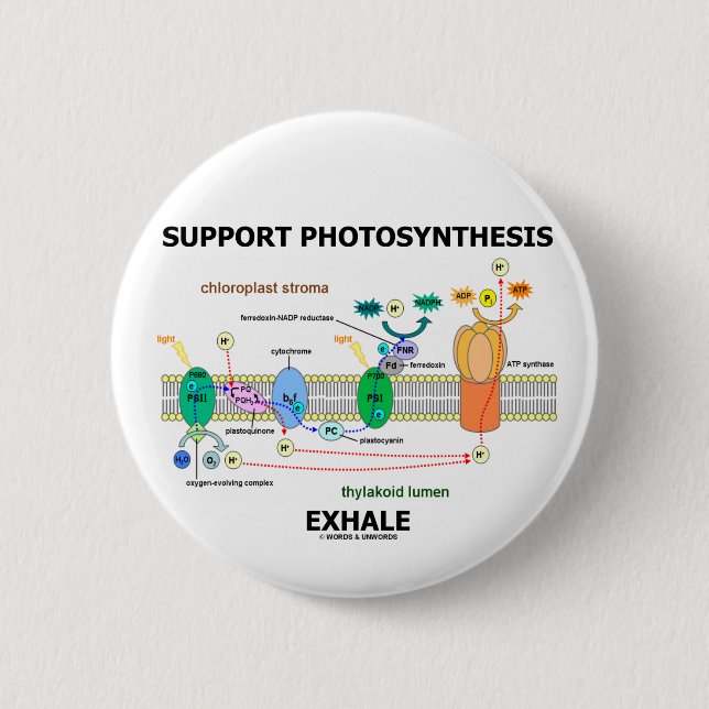 Support Photosynthesis Exhale (Environmental) Button (Front)