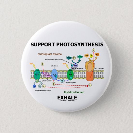 Support Photosynthesis Exhale (Environmental) Button