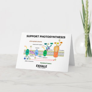 Support Photosynthesis Exhale (Environmental) Card