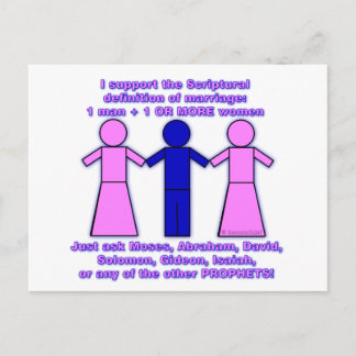 Support Polygamy postcard