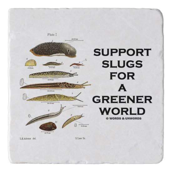 Support Slugs For A Greener World Trivet
