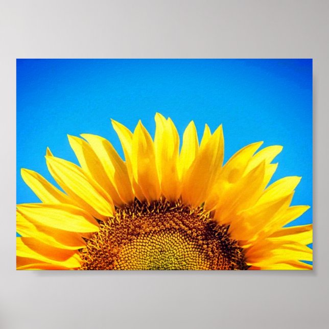 Support Ukraine blue sky yellow sunflower Poster (Front)