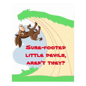 Sure-footed Little Donkey Poster