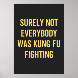 Surely Not Everybody Was Kung Fu Fighting Poster