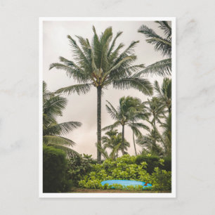 Surf Board Under a Palm Tree Hanalei Beach Kauai Postcard