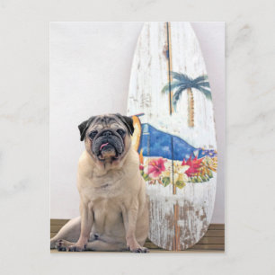 Surf Pug Postcard