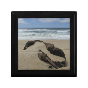 Surf Sand and Driftwood West Coast Landscape Beach Gift Box