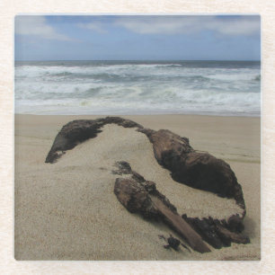 Surf Sand and Driftwood West Coast Landscape Beach Glass Coaster