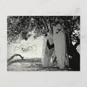 Surfboards Under a Tree Postcard