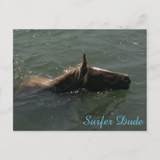 Surfer Dude Postcard