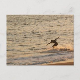 Surfer Dude Postcard
