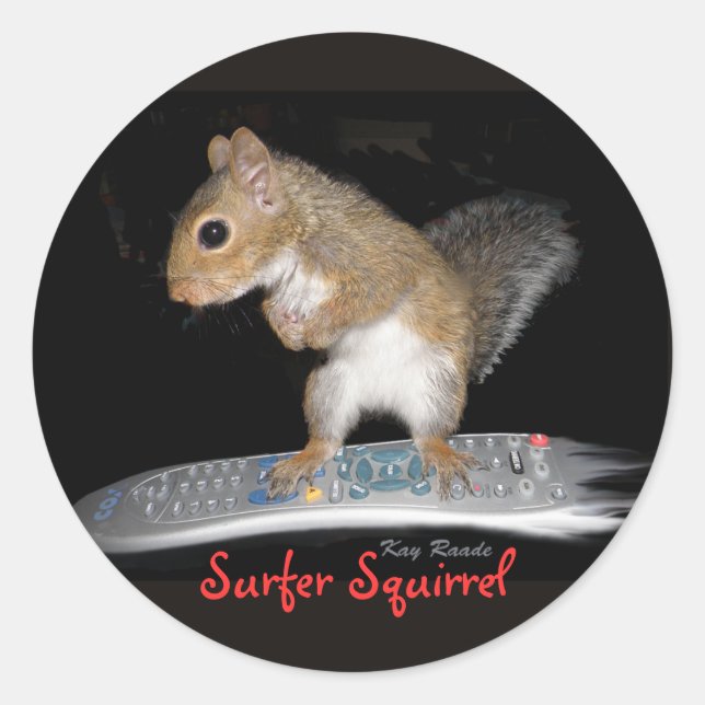 Surfer Squirrel Classic Round Sticker (Front)