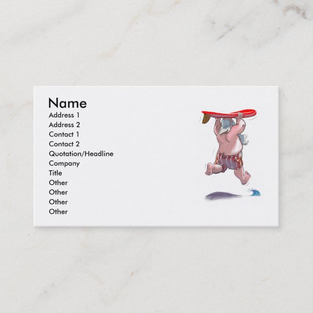 sUrFiN sAnTa Business Card (Front)