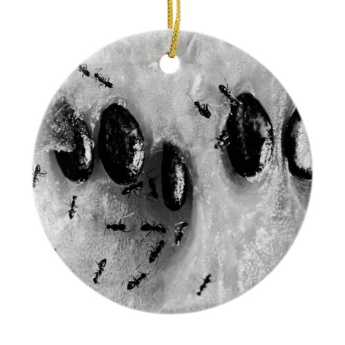 surfing ants ceramic ornament