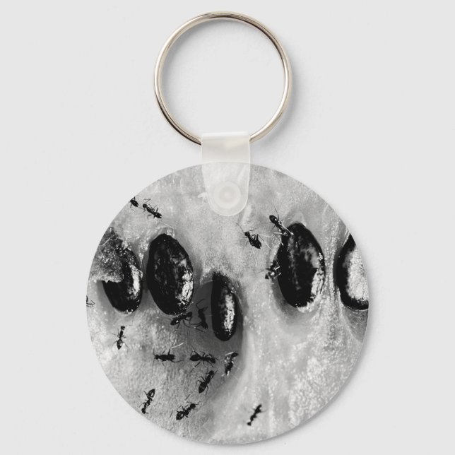 surfing ants keychain (Front)
