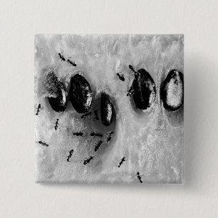 surfing ants pinback button