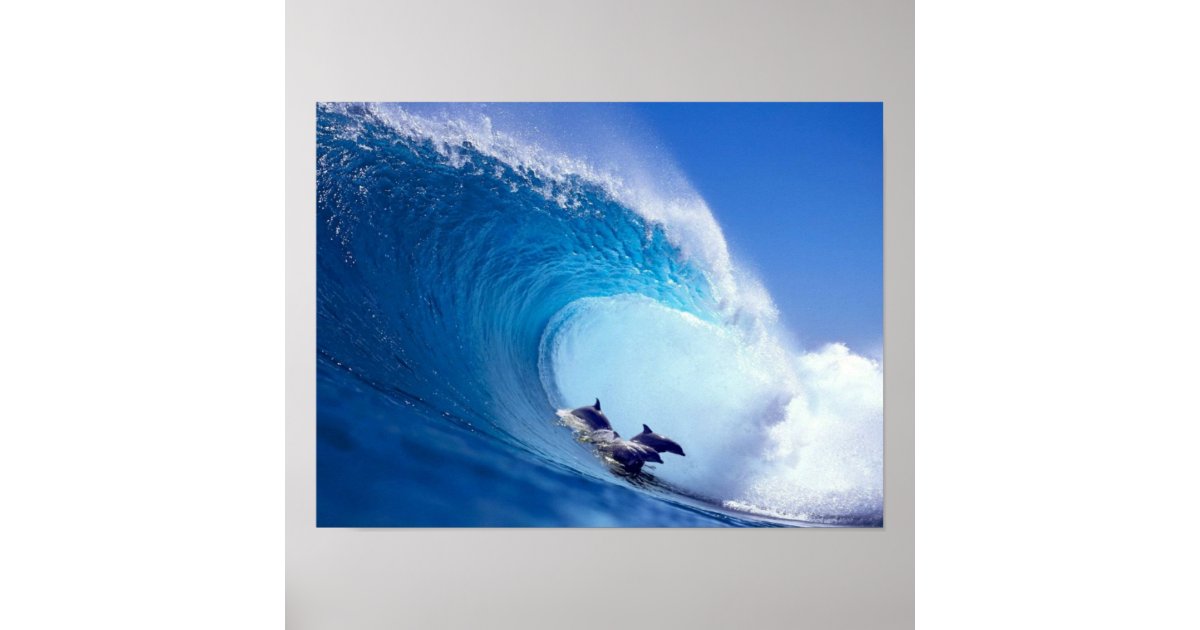 Surfing Dolphins Poster | Zazzle