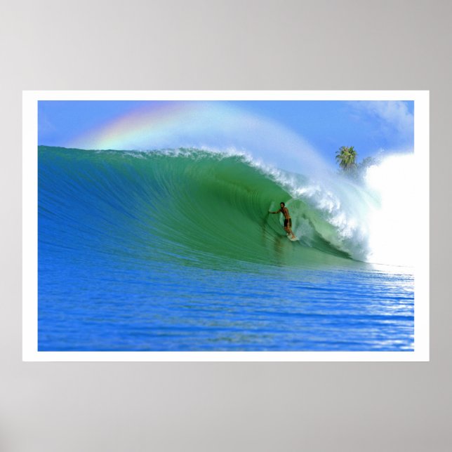 Surfing The Perfect Wave Poster (Front)