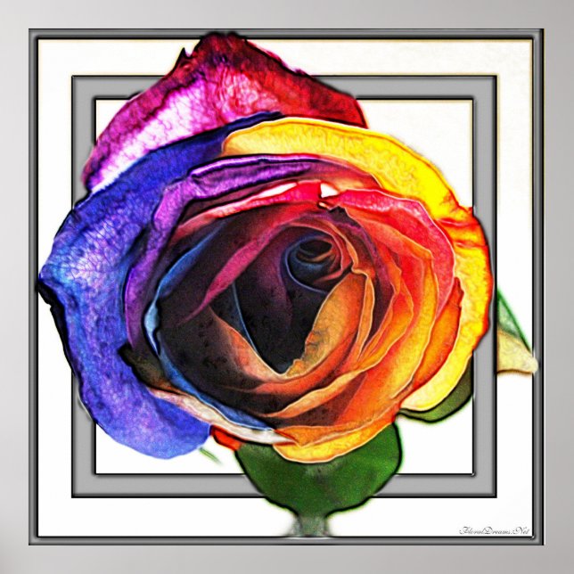 Surfing the Rainbow Rose Poster (Front)