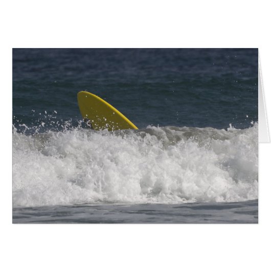 Surf's Up! (Front Horizontal)