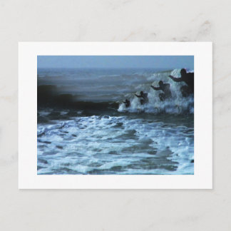 Surf's Up 2 Postcard