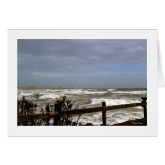 Surf's Up! Cards