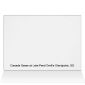 Surf's Up! - Geese (Inside Horizontal (Top))