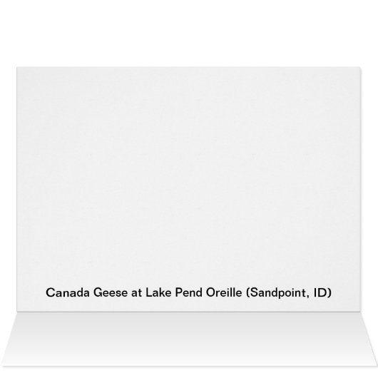 Surf's Up! - Geese (Inside Horizontal (Top))