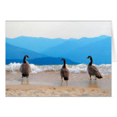 Surf's Up! - Geese (Front Horizontal)