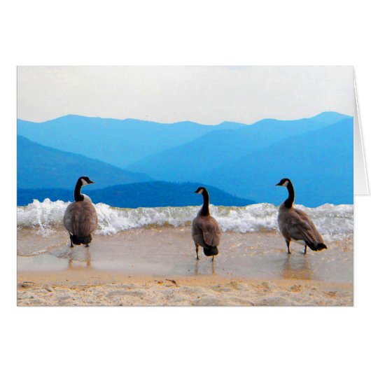 Surf's Up! - Geese Cards (Front Horizontal)