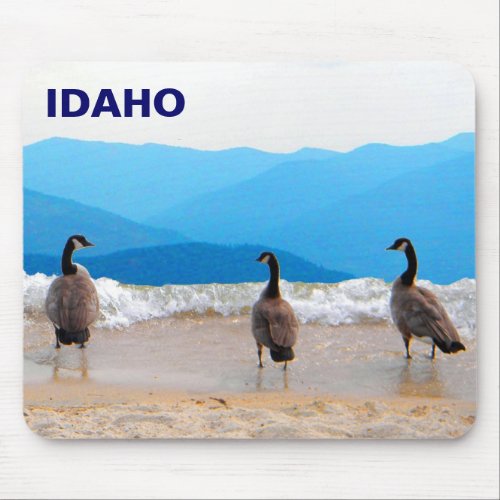 Surfs Up _ Geese Mouse Pad