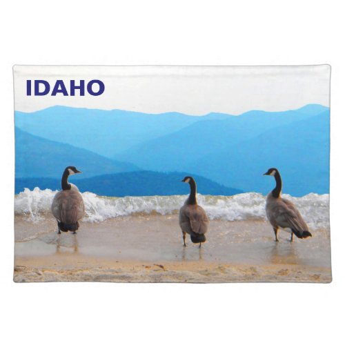 Surfs Up _ Geese Placemat