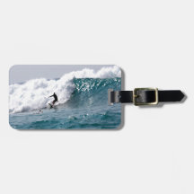 Surf's Up in Hawaii!