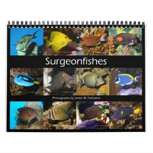 Surgeonfishes Wall Calendar by J.W. Fatherree.