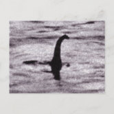 Mokele-mbembe Postcards (Package of 8)