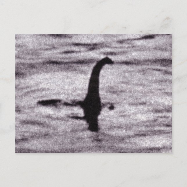 Surgeon's Photo Postcard (Front)