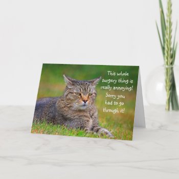 Surgery Get Well Funny Cat Card by Therupieshop at Zazzle