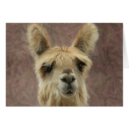 Suri Alpaca Cards (Front Horizontal)
