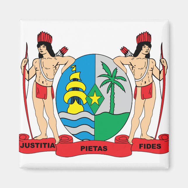 Suriname Coat of Arms detail Magnet (Front)
