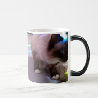 Surprise! CatM Color Morph Mug
