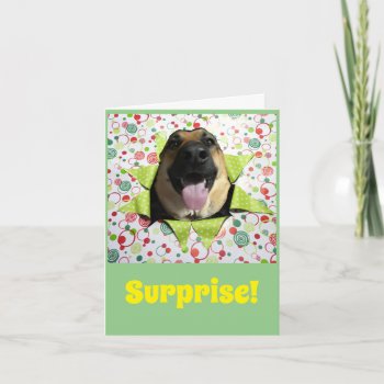 Surprise! German Shepherd Birthday Greeting Card by busycrowstudio at Zazzle