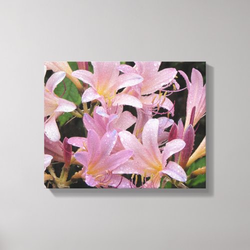 Surprise Lilies After the Rain Canvas Print