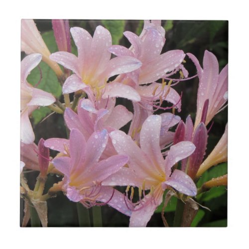 Surprise Lilies After the Rain Ceramic Tile