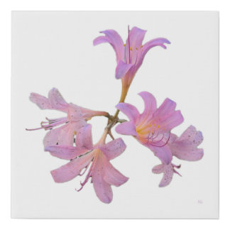 Surprise Lily  Faux Canvas Print
