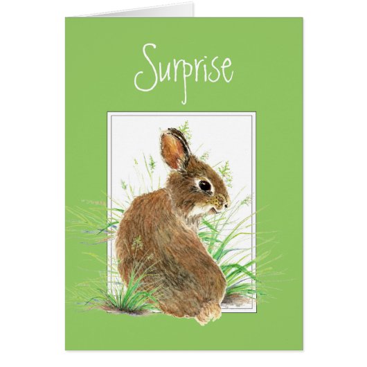 Surprise, You're Getting a Note from Me, Rabbit Cards (Front)