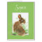 Surprise, You're Getting a Note from Me, Rabbit