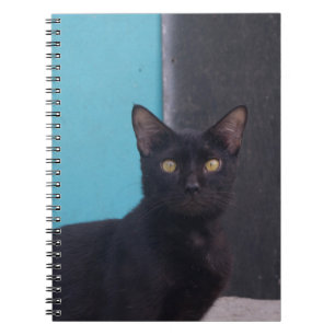 Surprised Black Cat Notebook