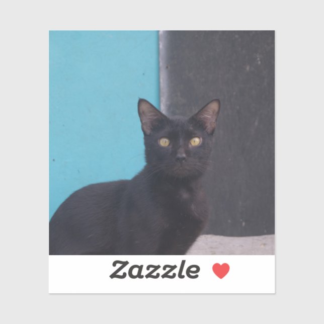 Surprised Black Cat Sticker (Sheet)